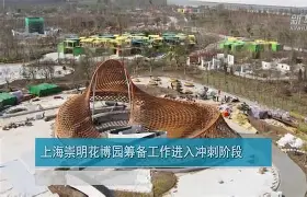 IM体育博彩-亚冠精英赛申花