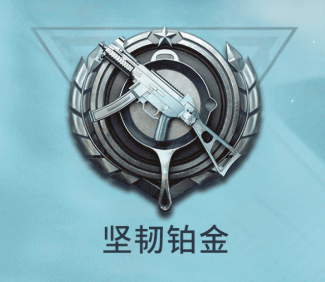 精英队的含义 精英队的含义